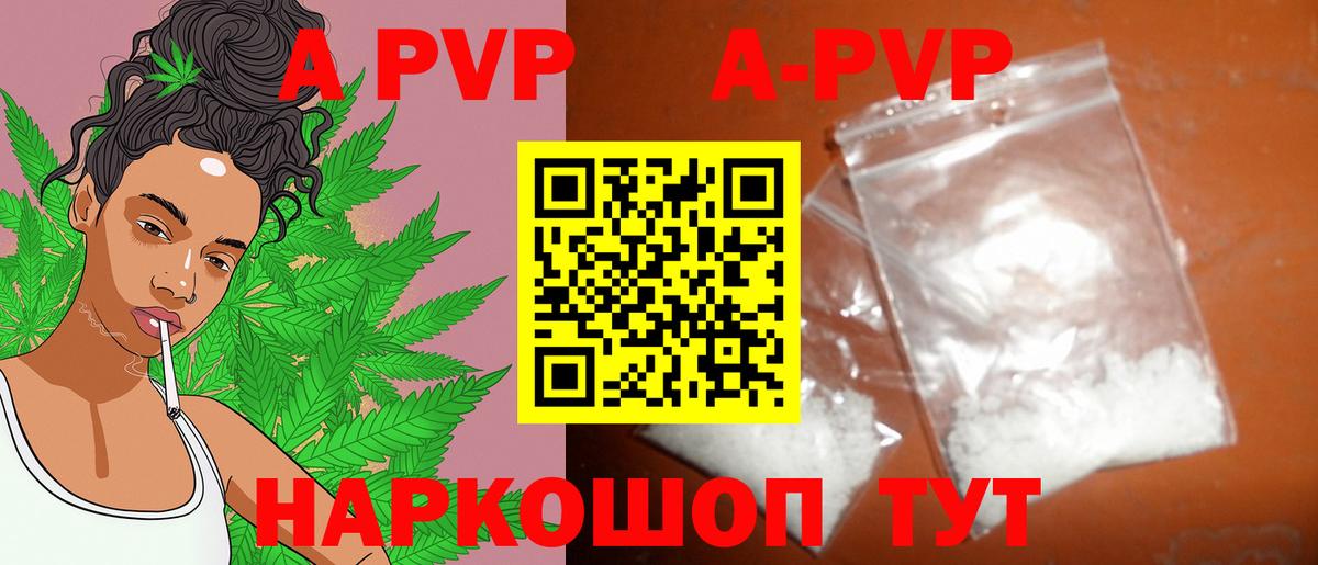 A PVP СК КРИС Энгельс