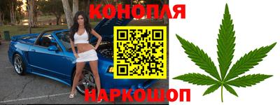 дурь Новозыбков